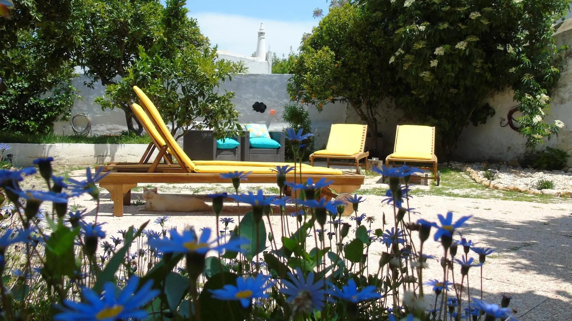 Casa Flor Do Mar ラゴス ゲストハウス